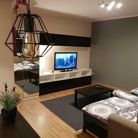 Apartamenty Hetmanska - 24H Shop カトヴィツェ エクステリア 写真