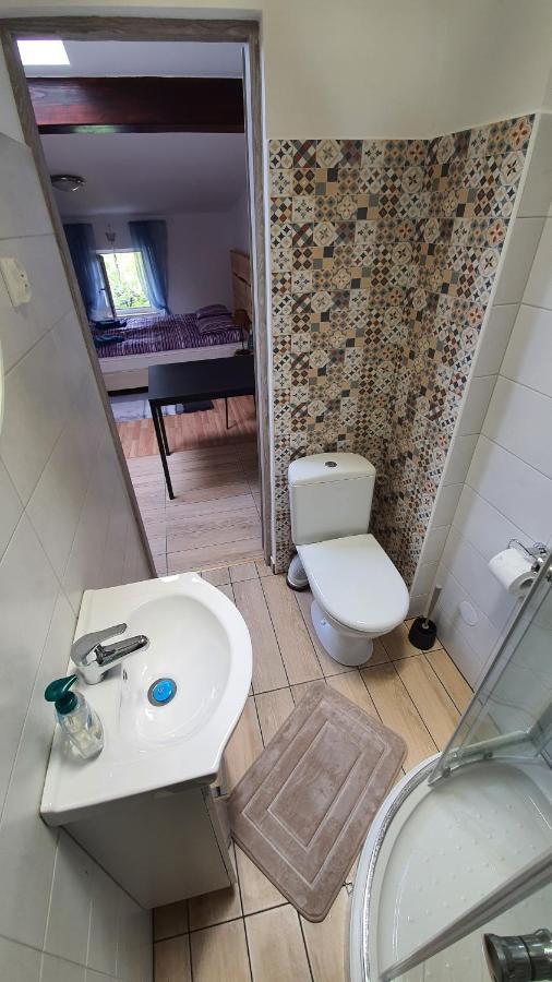 Apartamenty Hetmanska - 24H Shop カトヴィツェ エクステリア 写真