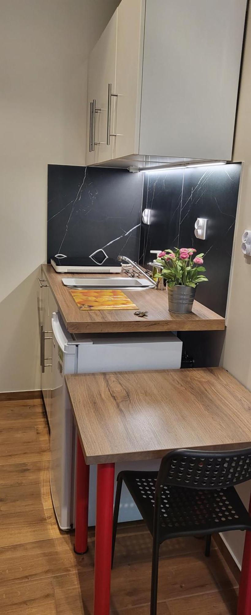 Apartamenty Hetmanska - 24H Shop カトヴィツェ 部屋 写真