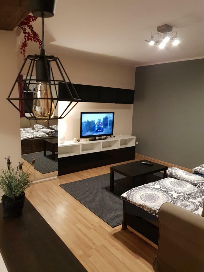 Apartamenty Hetmanska - 24H Shop カトヴィツェ エクステリア 写真